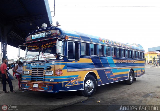 Transporte Arvelo 30 por Andrs Ascanio