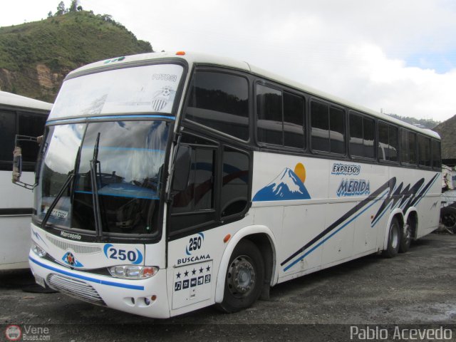 Expresos M�rida 0250 por Pablo Acevedo