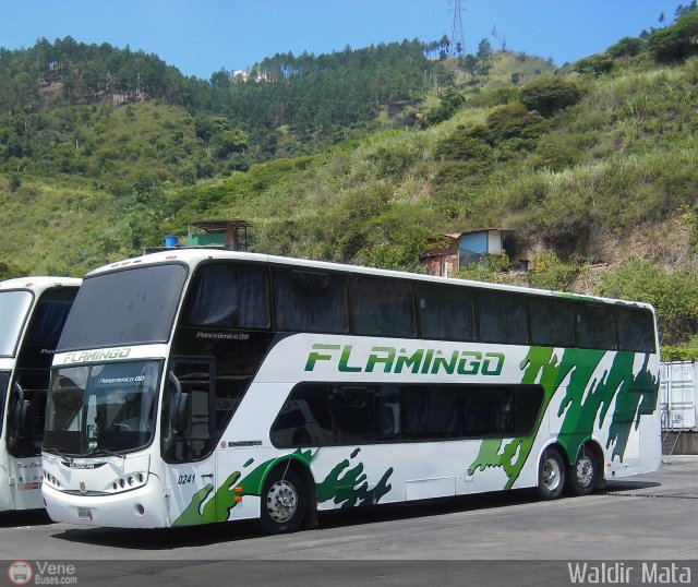Expresos Flamingo 0241 por Waldir Mata