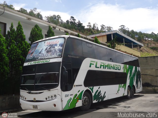 Expresos Flamingo 0341 por Waldir Mata