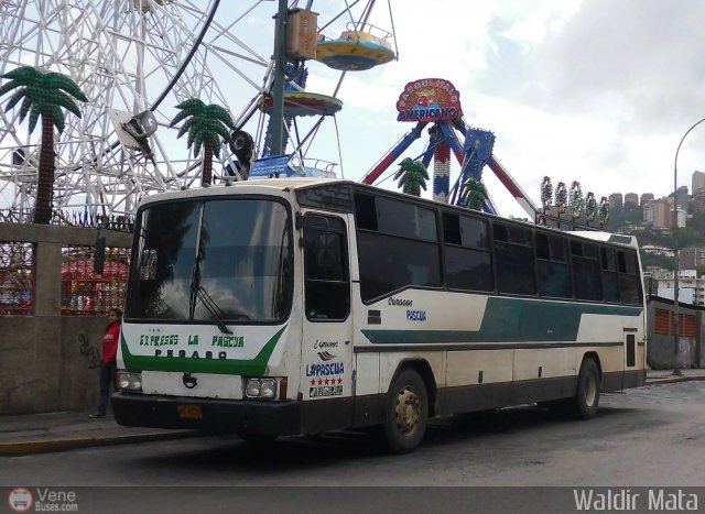 Autobuses La Pascua 013 por Waldir Mata