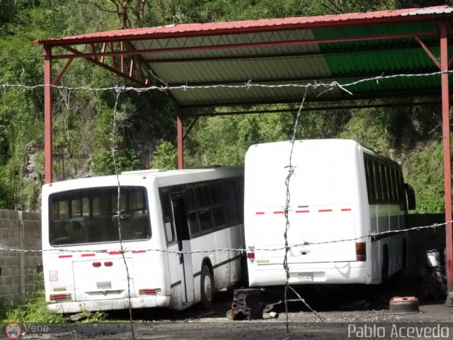 En Chiveras Abandonados Recuperacin  por Pablo Acevedo