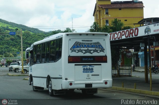 A.C. Transporte Paez 037 por Pablo Acevedo