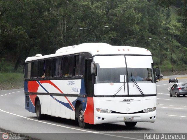 Expresos Pegamar 1037 por Pablo Acevedo