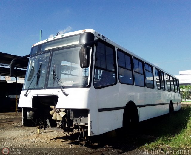 En Chiveras Abandonados Recuperacin 008 por Andrs Ascanio