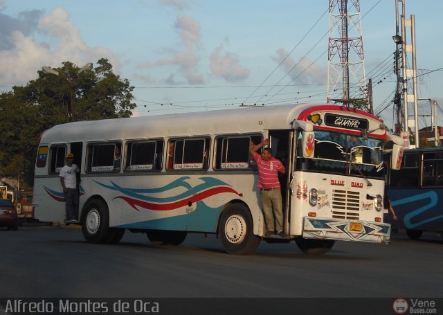 Colectivos Guayas S.A. 052 por Alfredo Montes de Oca