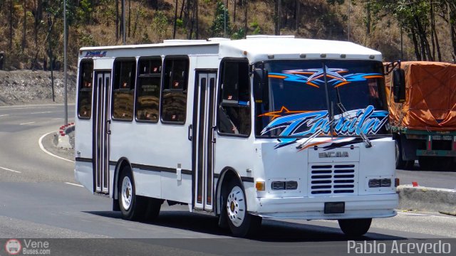 Particular o Desconocido Miranda por Pablo Acevedo