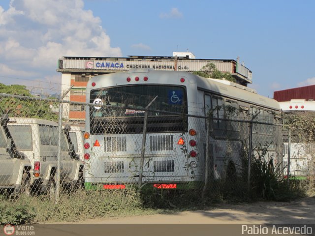 Bus CCS Materfer por Pablo Acevedo