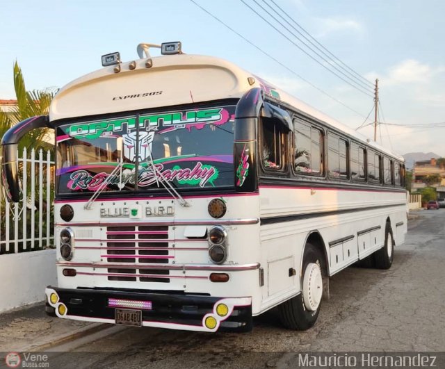 Expresos Nirgua 0115 por Eduard Delgado