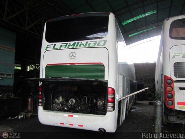 Expresos Flamingo 0100 por Pablo Acevedo