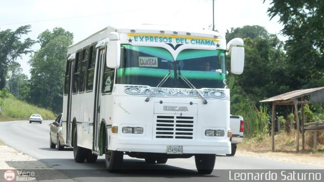 S.C. Lnea Transporte Expresos Del Chama 080 por Leonardo Saturno