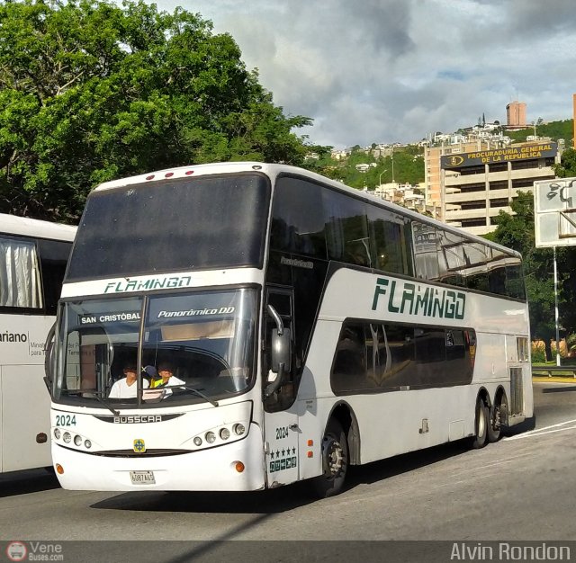 Expresos Flamingo 2024 por Alvin Rond�n