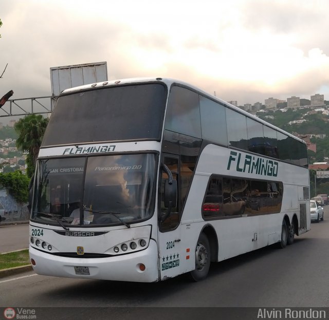 Expresos Flamingo 2024 por Alvin Rond�n