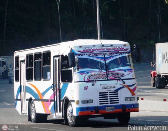 A.C. Indepasib 081 por Pablo Acevedo