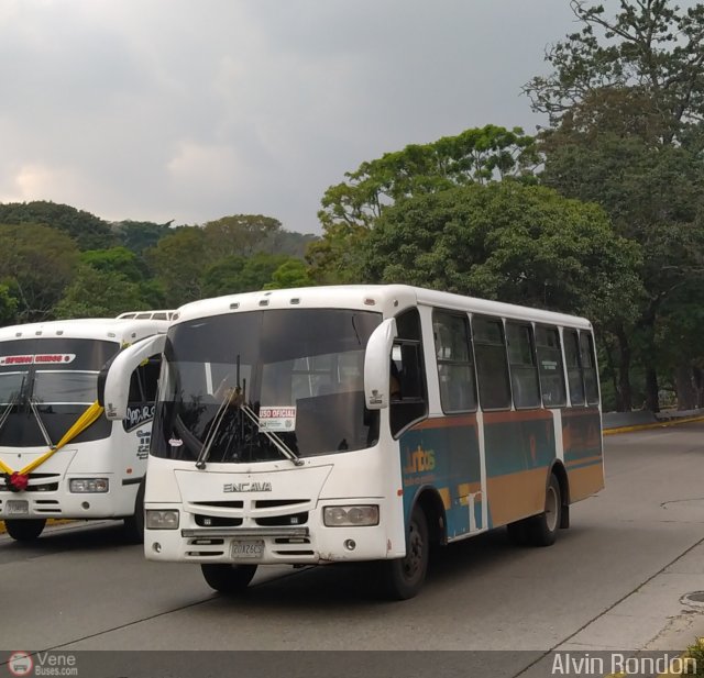 Universitarios y Escolares AR-999 por Alvin Rondn