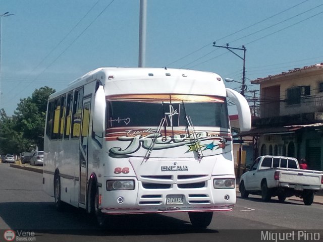 Ejecutivos Kova 086 por Miguel Pino