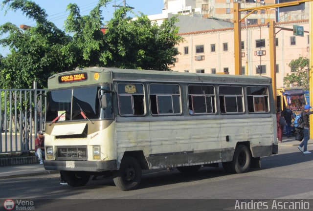 CA - Asociaci�n Coop. El Trigal R.L. 27 por Andr�s Ascanio