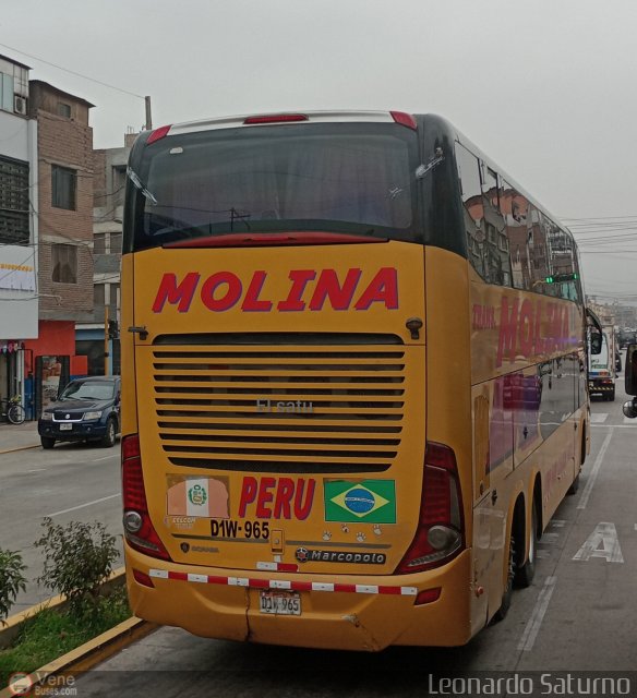 Transportes Molina Per S.A.C. 965, por Leonardo Saturno