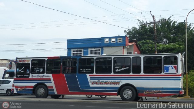 Expresos Pegamar 0010 por Leonardo Saturno