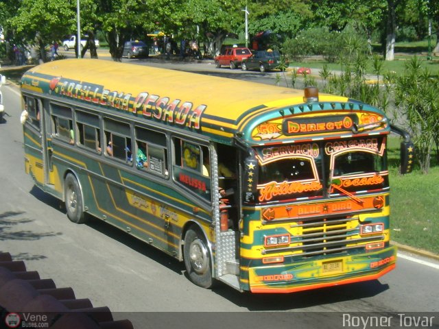 Línea Fraternidad C.A. 59 por Royner Tovar