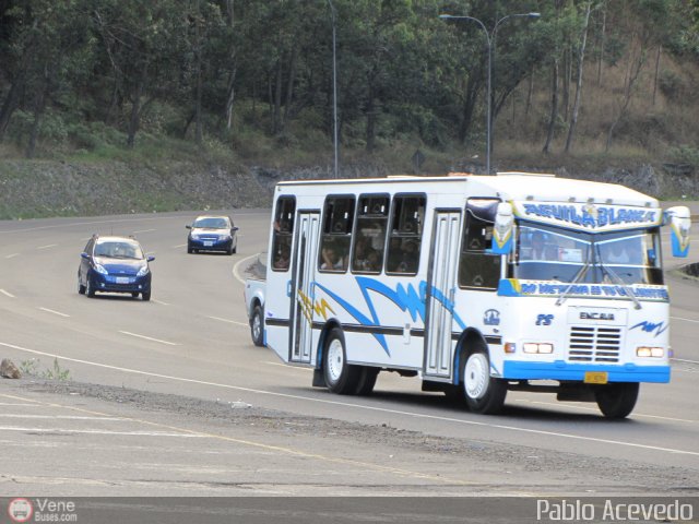 A.C. de Transporte La Raiza 075 por Pablo Acevedo