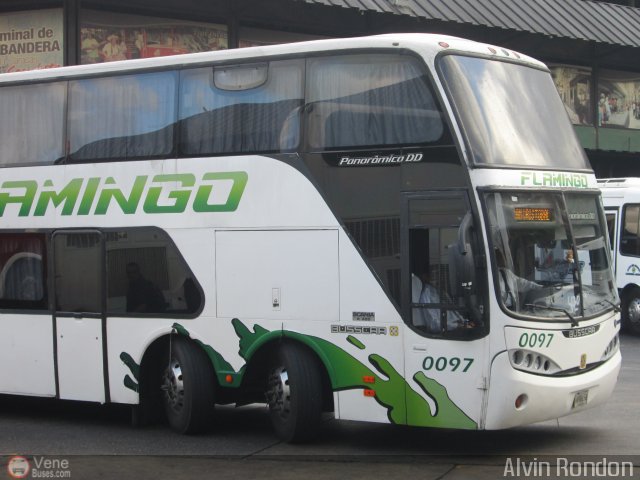 Expresos Flamingo 0097 por Alvin Rondn