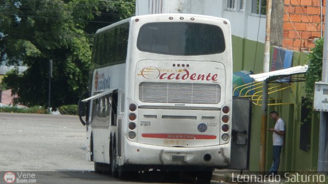 Expresos Occidente 294 por Leonardo Saturno