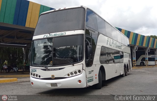 Expresos Flamingo 2024 por Gabriel Gonz�lez