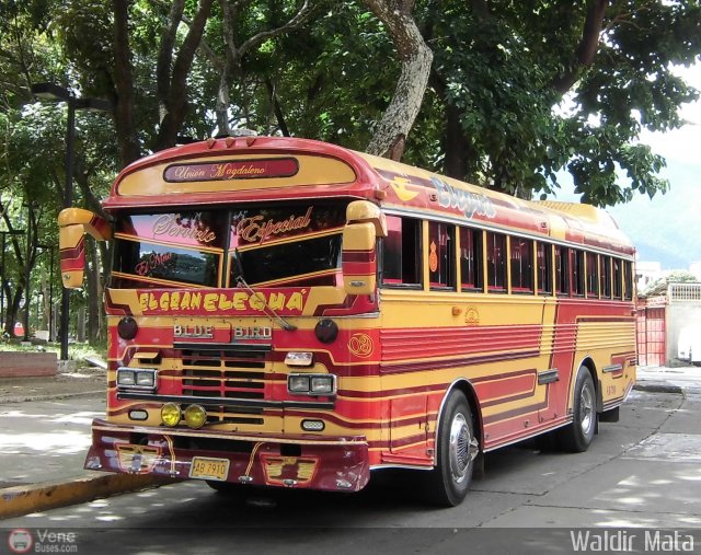 Uni�n Magdaleno A.C. 03 por Waldir Mata