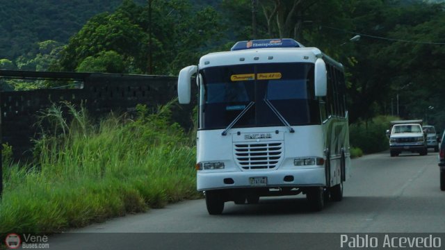 A.C. Transporte Paez 047 por Pablo Acevedo