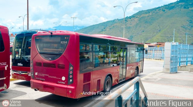 Trolmerida - Tromerca 5250 por Andrs Figuera