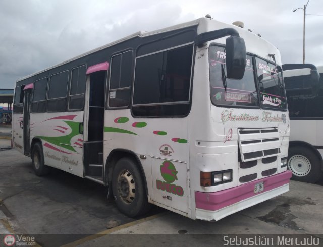 A.C. Transporte San Alejo 20  por Sebastin Mercado