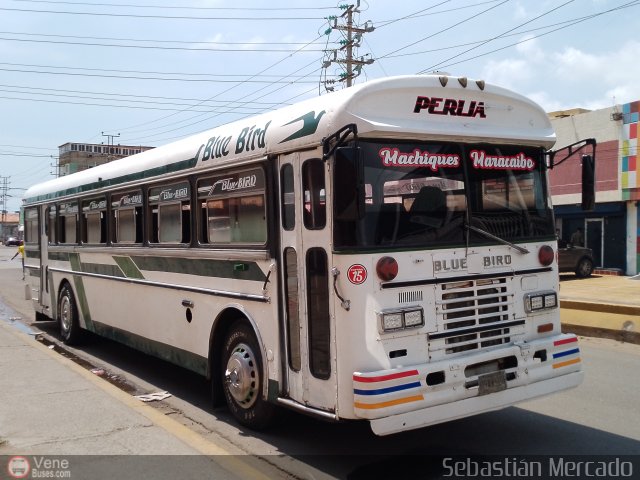 Colectivos Perij� 15 por Sebasti�n Mercado
