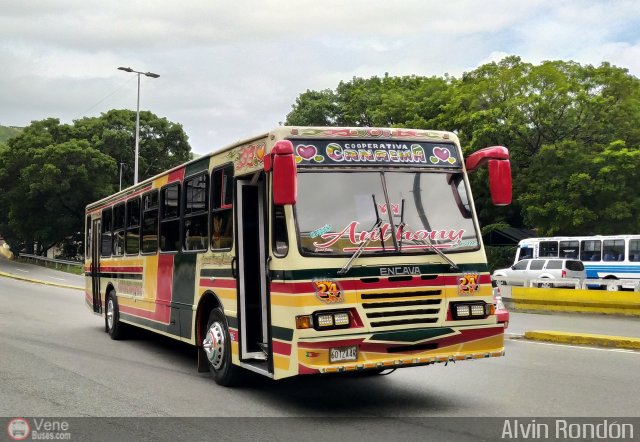 Cooperativa Canaima 24 por Alvin Rondn