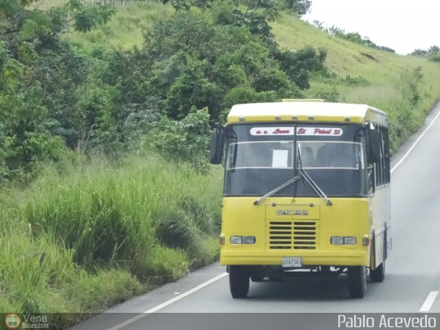 L�nea El Pi�al A.C. 38 por Pablo Acevedo