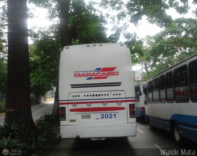 Expresos Maracaibo 2021 por Waldir Mata