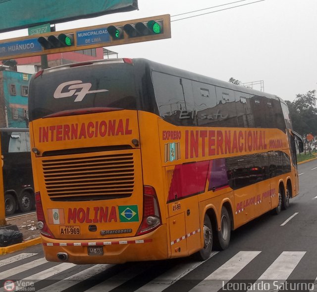 Transportes Molina Per S.A.C. 969 por Leonardo Saturno