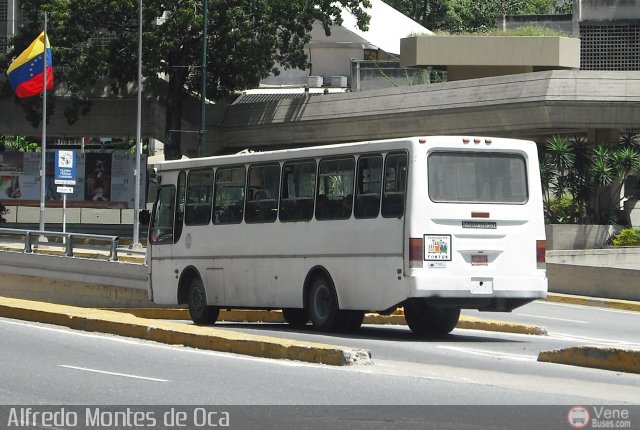 Uso Oficial Am-CL1 por Alfredo Montes de Oca