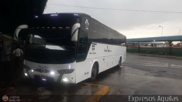 Expresos �guilas 3240 por Alvin Rond�n