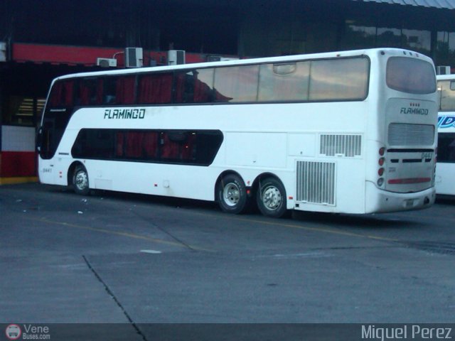 Expresos Flamingo 0441 por Miguel Perez