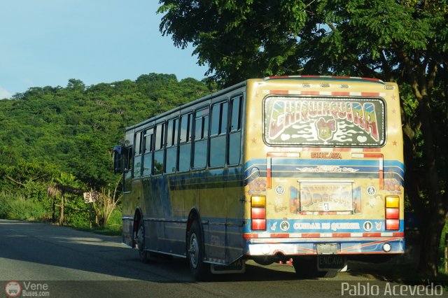 Transporte Guacara 0182 por Pablo Acevedo