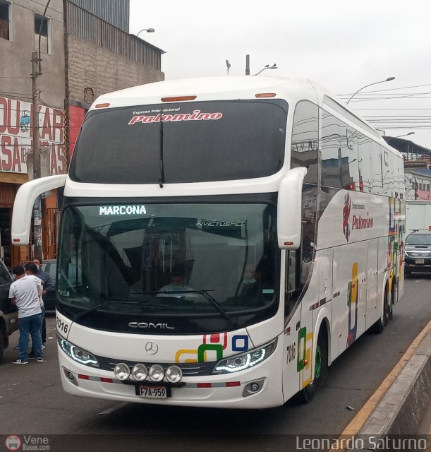 Expreso Internacional Palomino 7016 por Leonardo Saturno