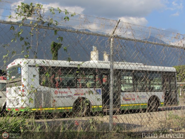 Bus CCS Materfer por Pablo Acevedo