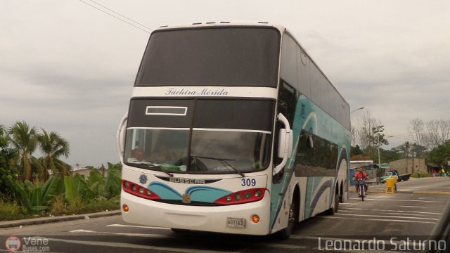 A.C. Mixta de Transporte Tchira Mrida R.L. 0309 por Leonardo Saturno