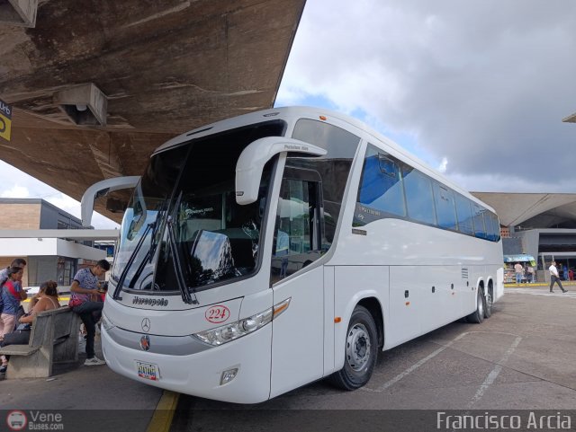 Los P�jaros de Lara 224 por Francisco Arcia