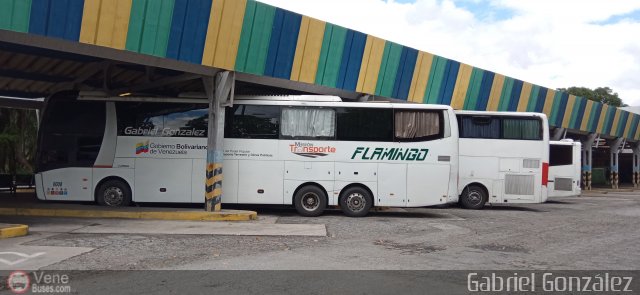 Garajes Paradas y Terminales Merida por Gabriel Gonzlez