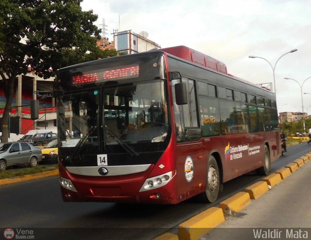 TransAragua S.A. 14 por Waldir Mata