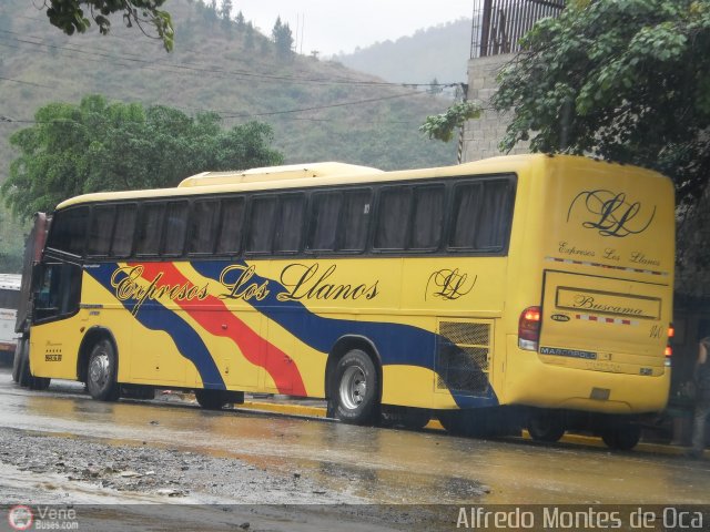 Expresos Los Llanos 140 por Alfredo Montes de Oca