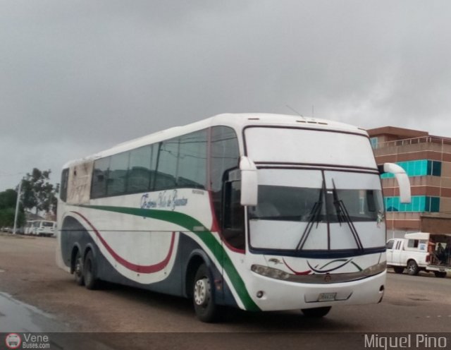 Expresos Valle de Guantar 51 por Pablo Acevedo