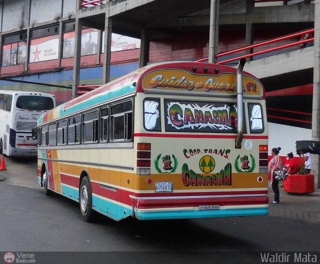 Cooperativa Canaima 01 por Waldir Mata